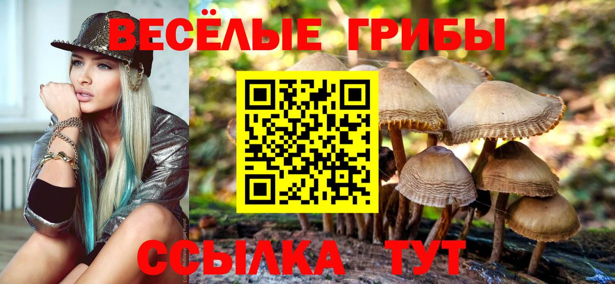 Галлюциногенные грибы ЛСД  Псилоцибиновые грибы Magic Shrooms  Вход с VPN  Воронеж 